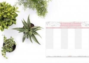 printable monthly planner templates printable menu planner templates printable monthly planner templates printable planner templates printable planner templates 2017