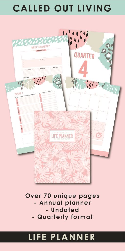It starts with a dream life planner. printable planner to help you find clarity, dream big, plan, track, review, build habits, define your values, develop a positive mindset, fear setting, self care, bucket list,