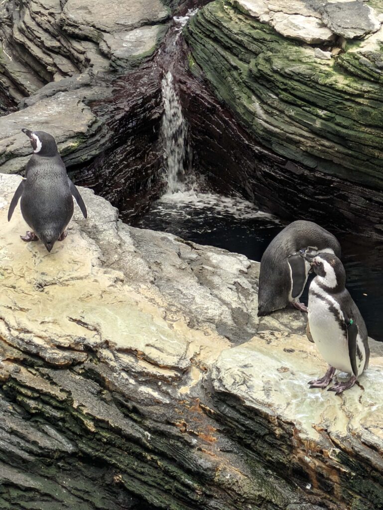 Lisbon Aquarium